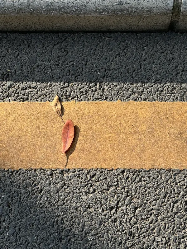 朋友们一起留下的生活影像 1